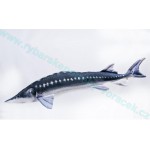 Polštář Jeseter 125cm plyšová ryba