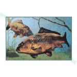 Rohožka 3D Kapr pod hladinou