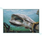 Rohožka 3D Sumec pod hladinou