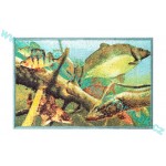 Rohožka Delphin Aqua