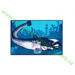 Rohožka Sumec Chyť mě