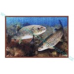 Rohožka 3D Pstruh