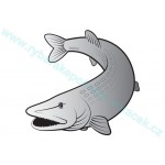 Samolepka štika SILVER