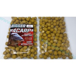Boilies a pelety