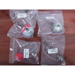 Magická koule červenošedá