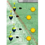 Bójka sumec trhací - BUBENÍK