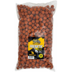 Boilies Cilli Mango 5kg CARP ONLY Frenetic A.L.T.